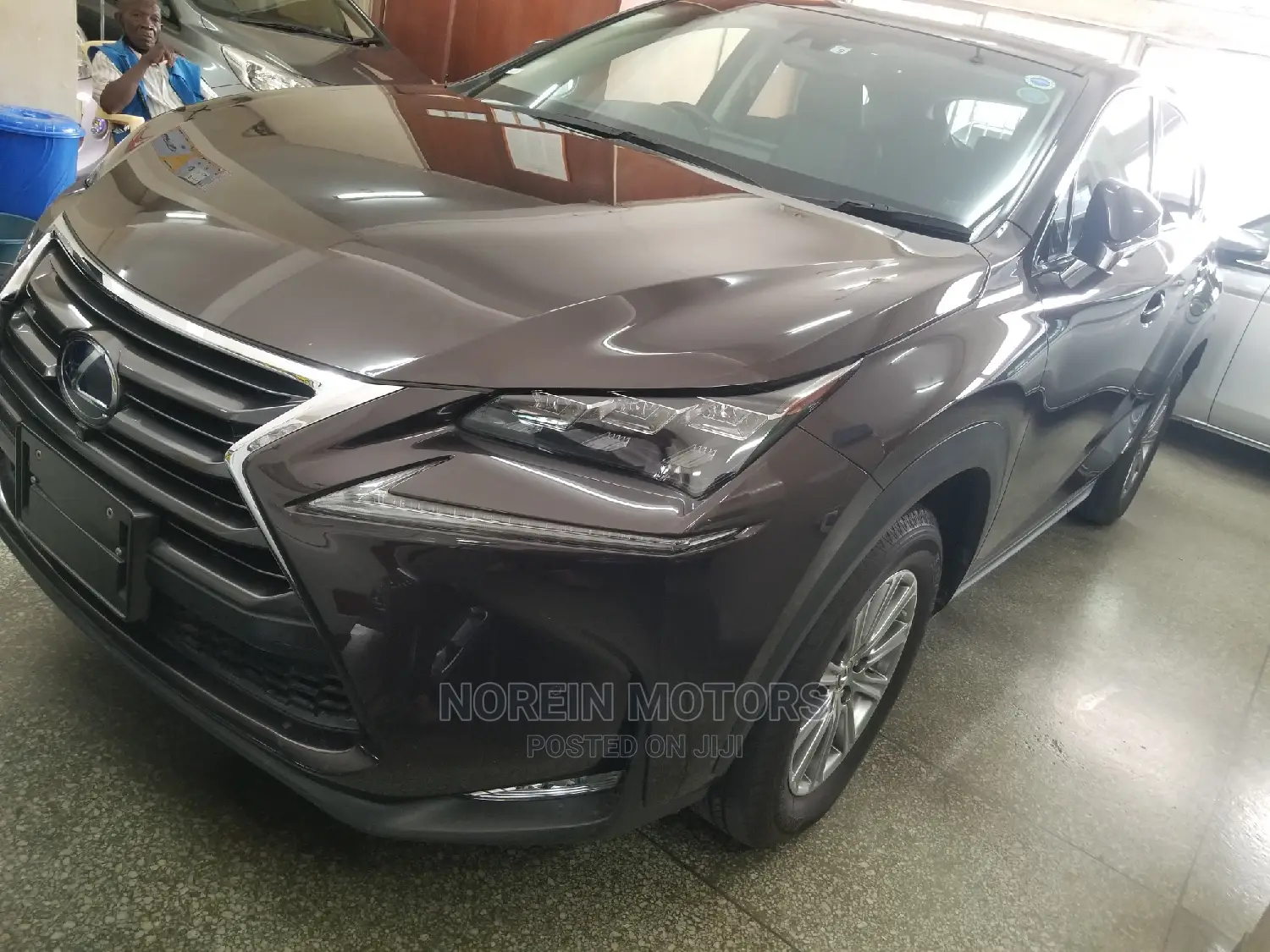 Lexus NX 300h 2014 Gray