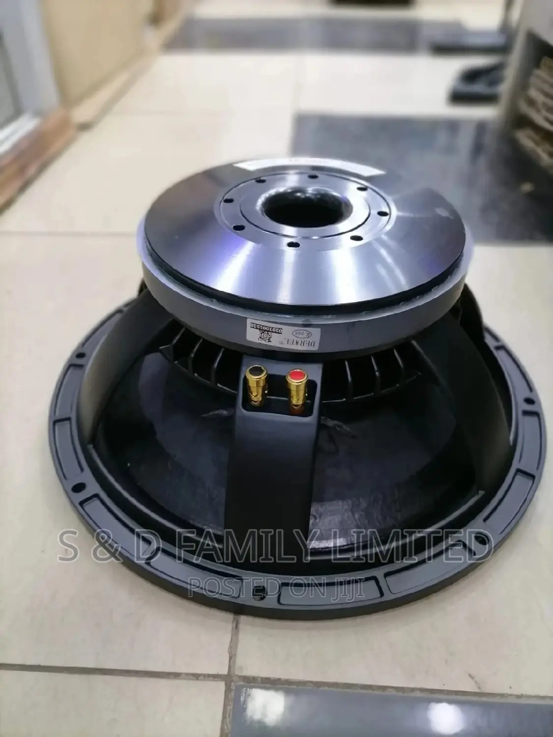 Derwel 15AH210 15 Inch Naked Speaker