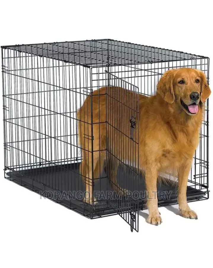 6 Months Puppies Dog Cages
