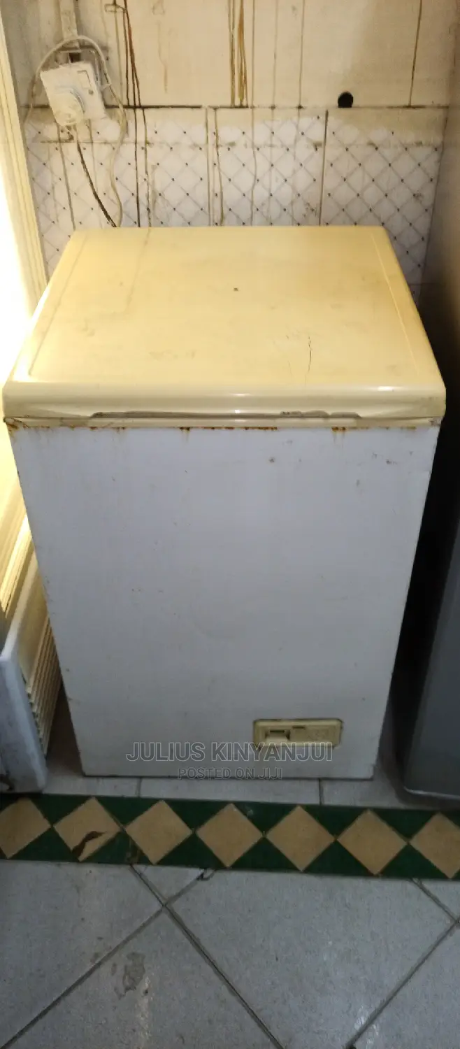 Deep 100L Freezer