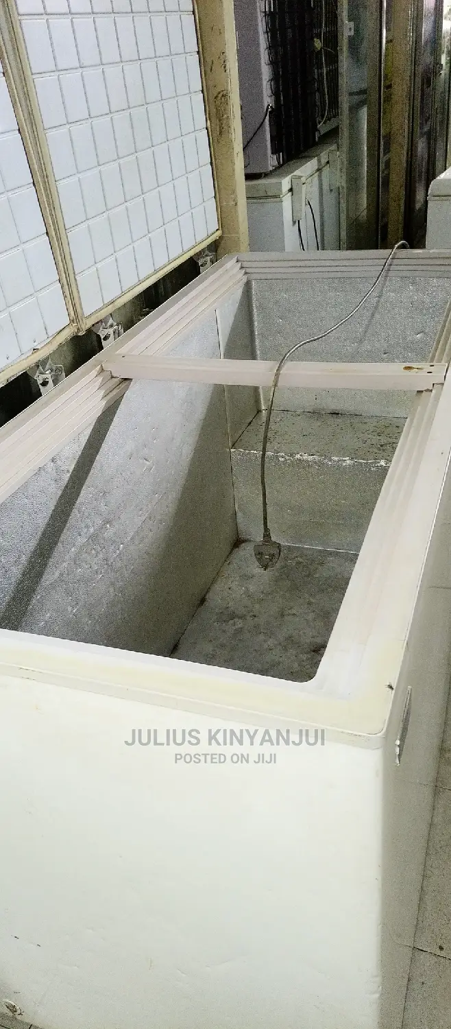 Double Door Freezer 650L