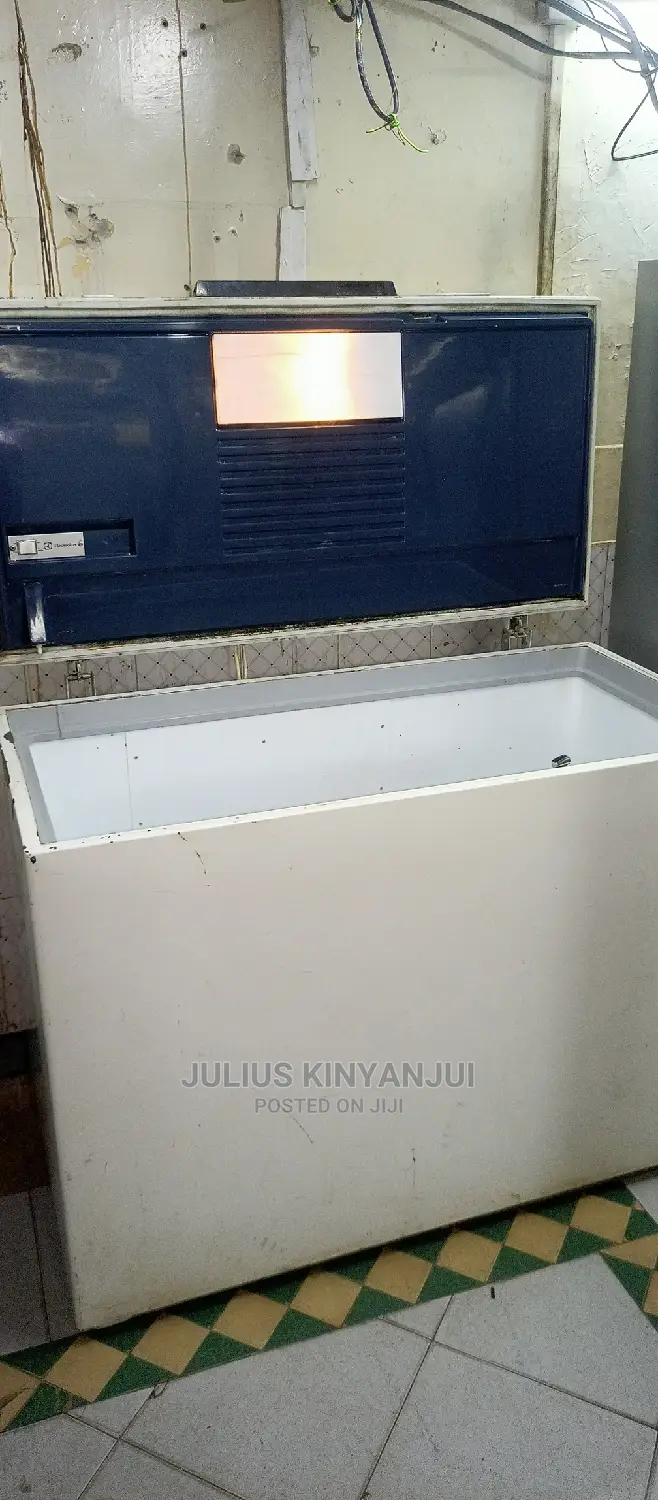 Deep Freezer 450L