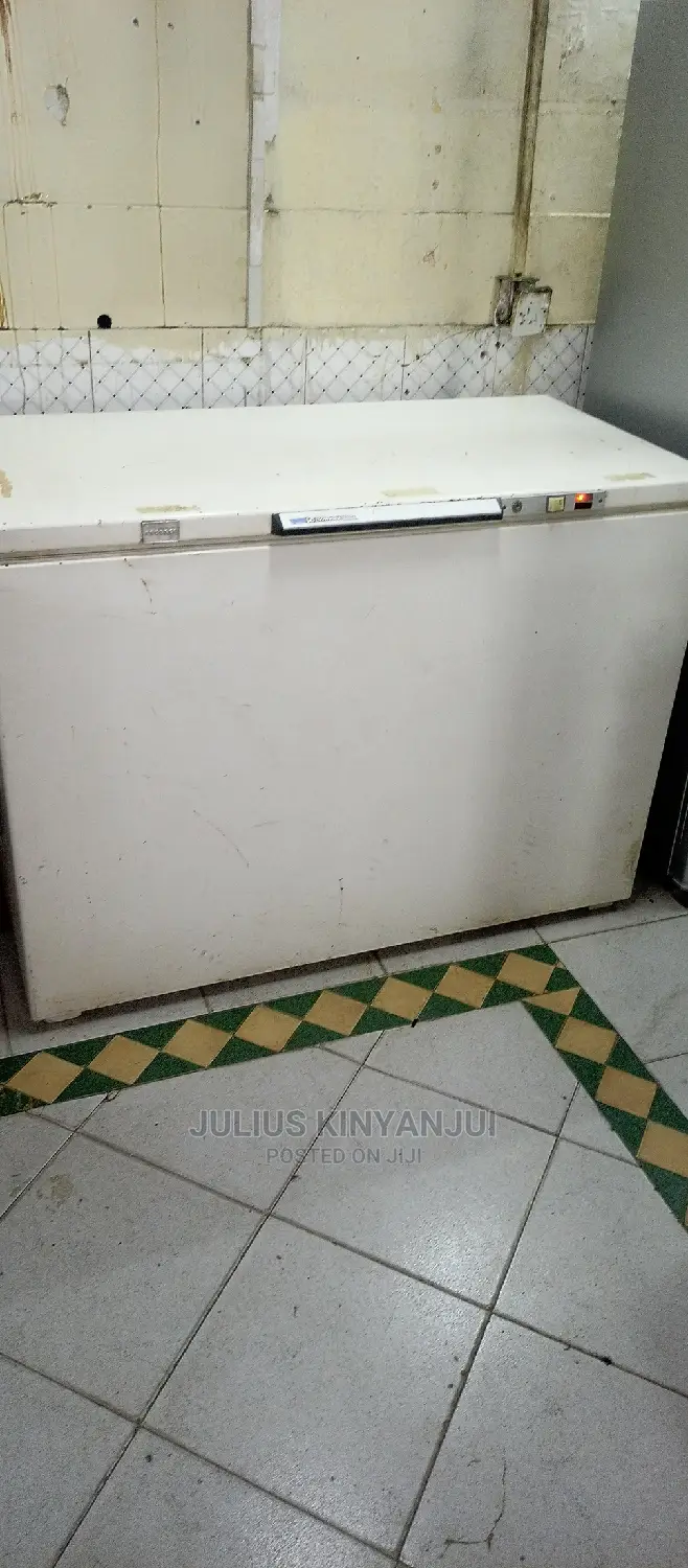 Deep Freezer 450L