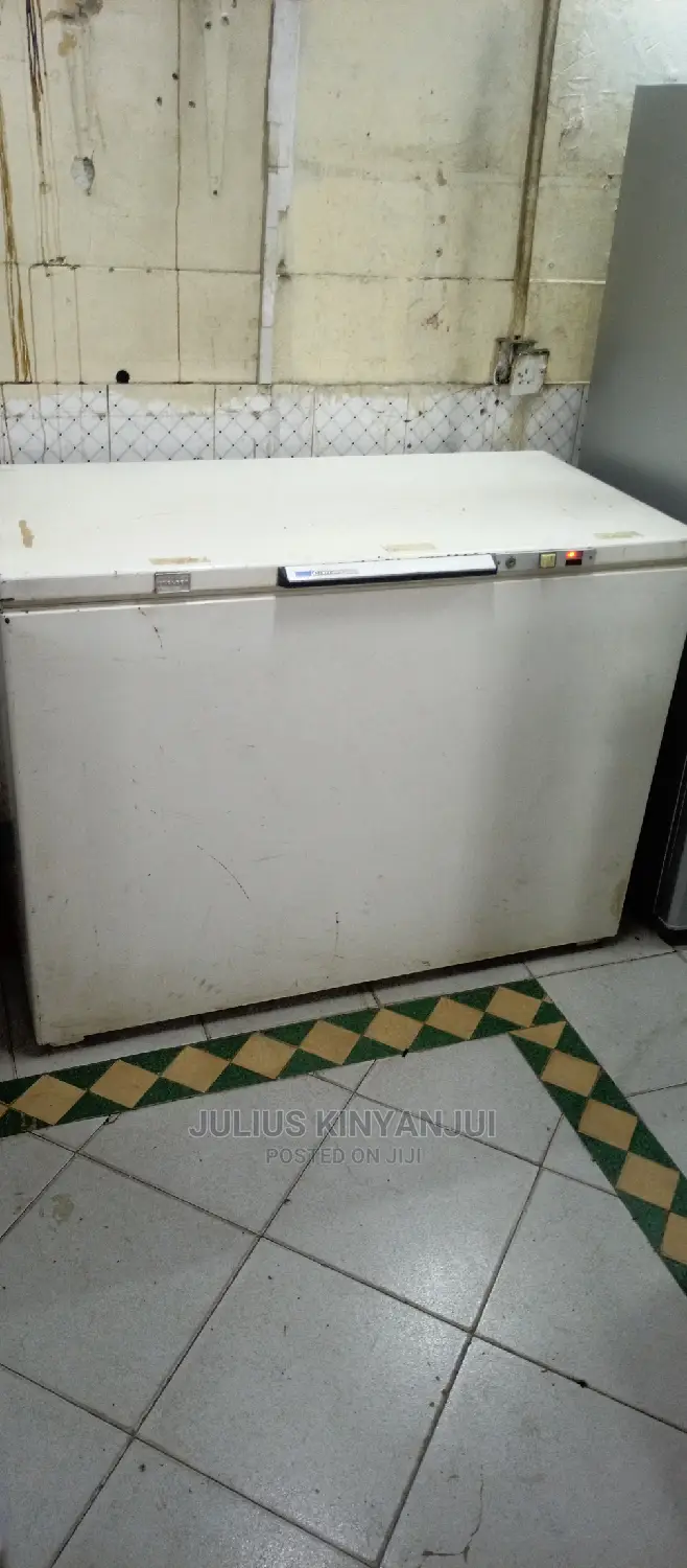 Deep Freezer 450L