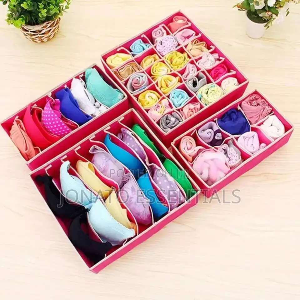4 in 1 Undergarments Organizer, Bras, Socks, Ties Organizer