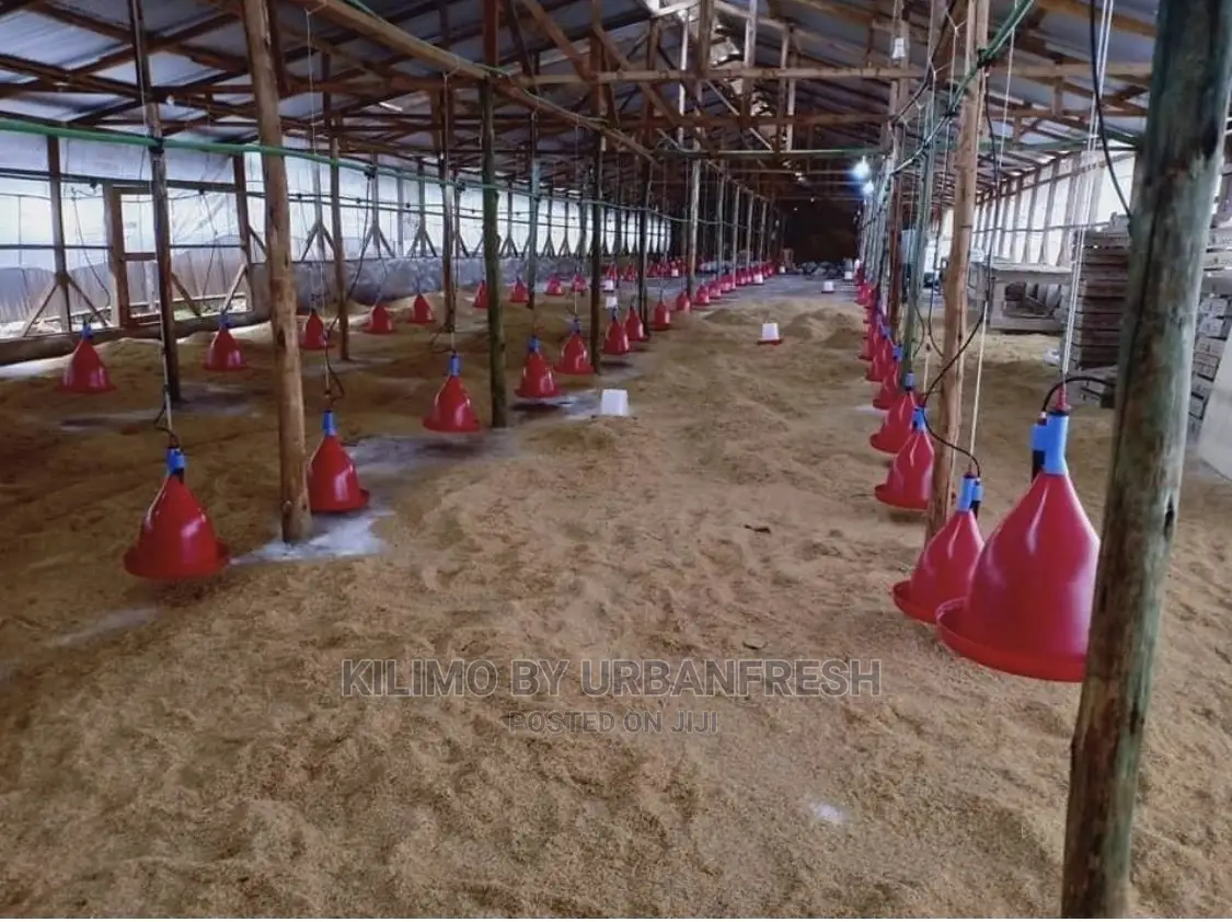 Automatic Bell Poultry Drinker
