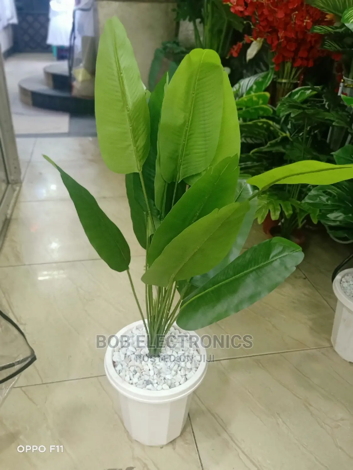 Artificial Banana Plant With Pot and Pebbles
