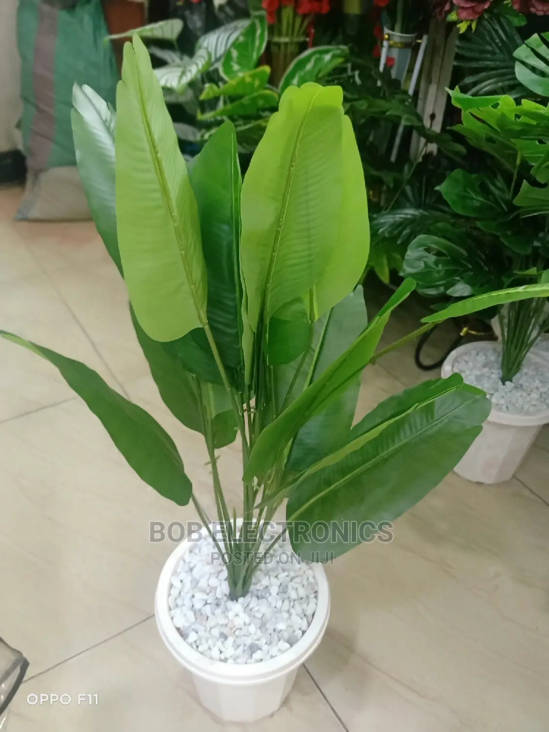 Artificial Banana Plant With Pot and Pebbles