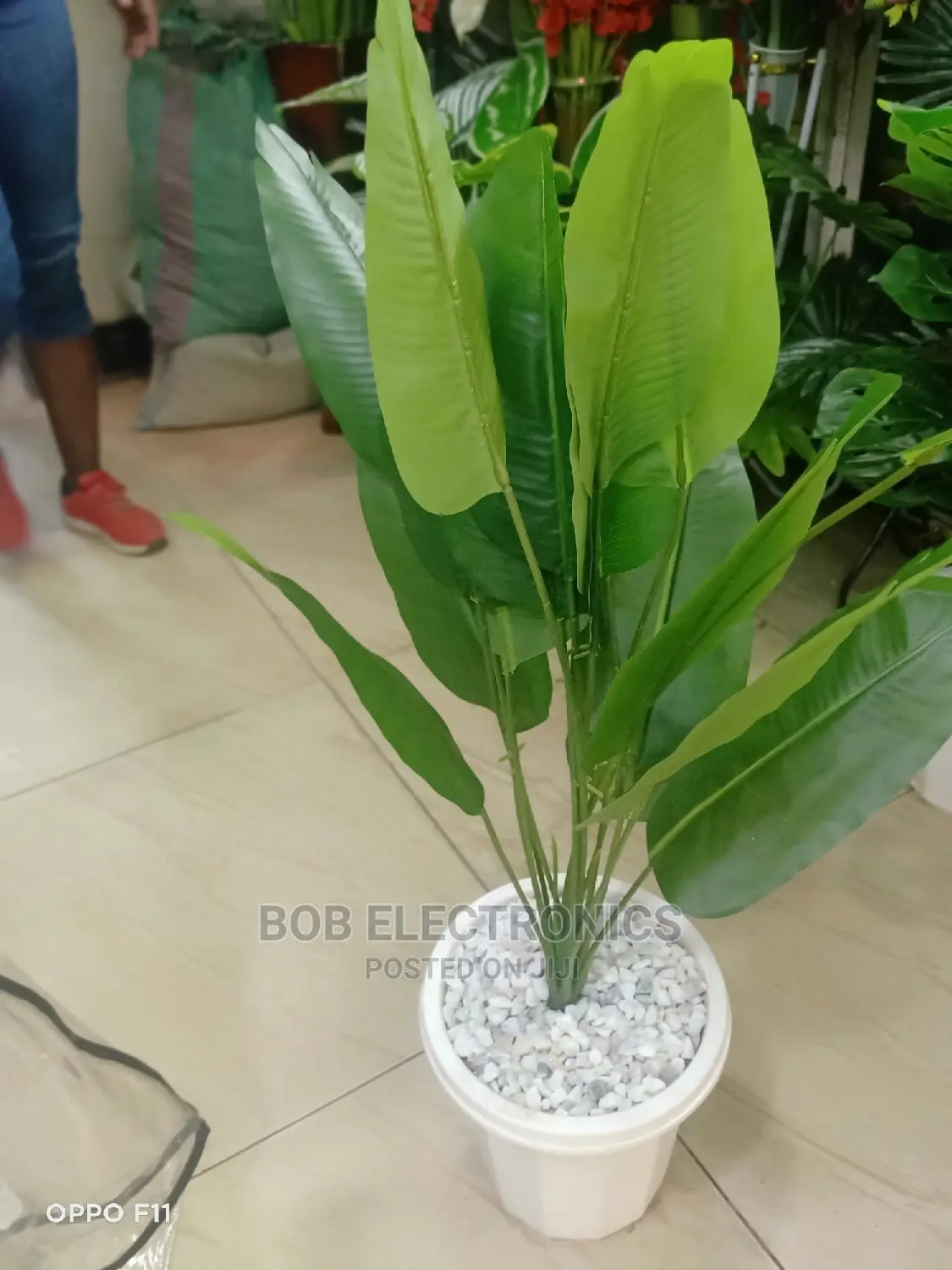 Artificial Banana Plant With Pot and Pebbles