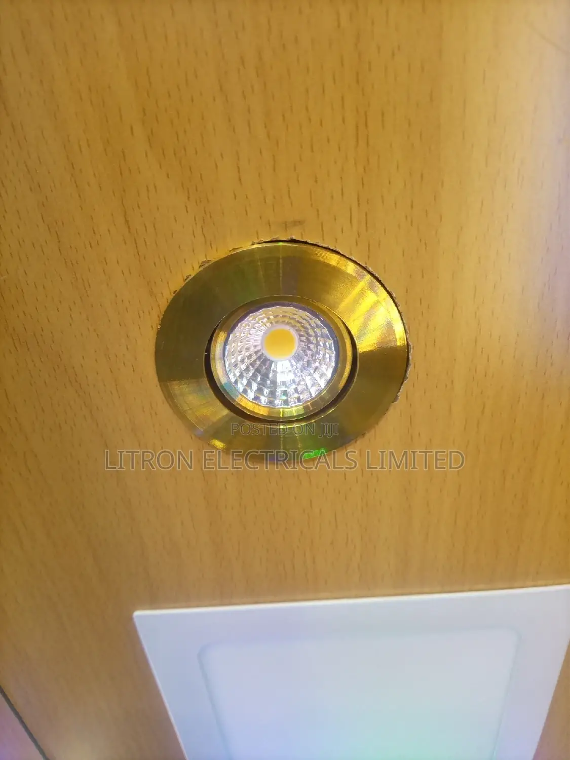 5wb Gypsum Fittings, Downlighter
