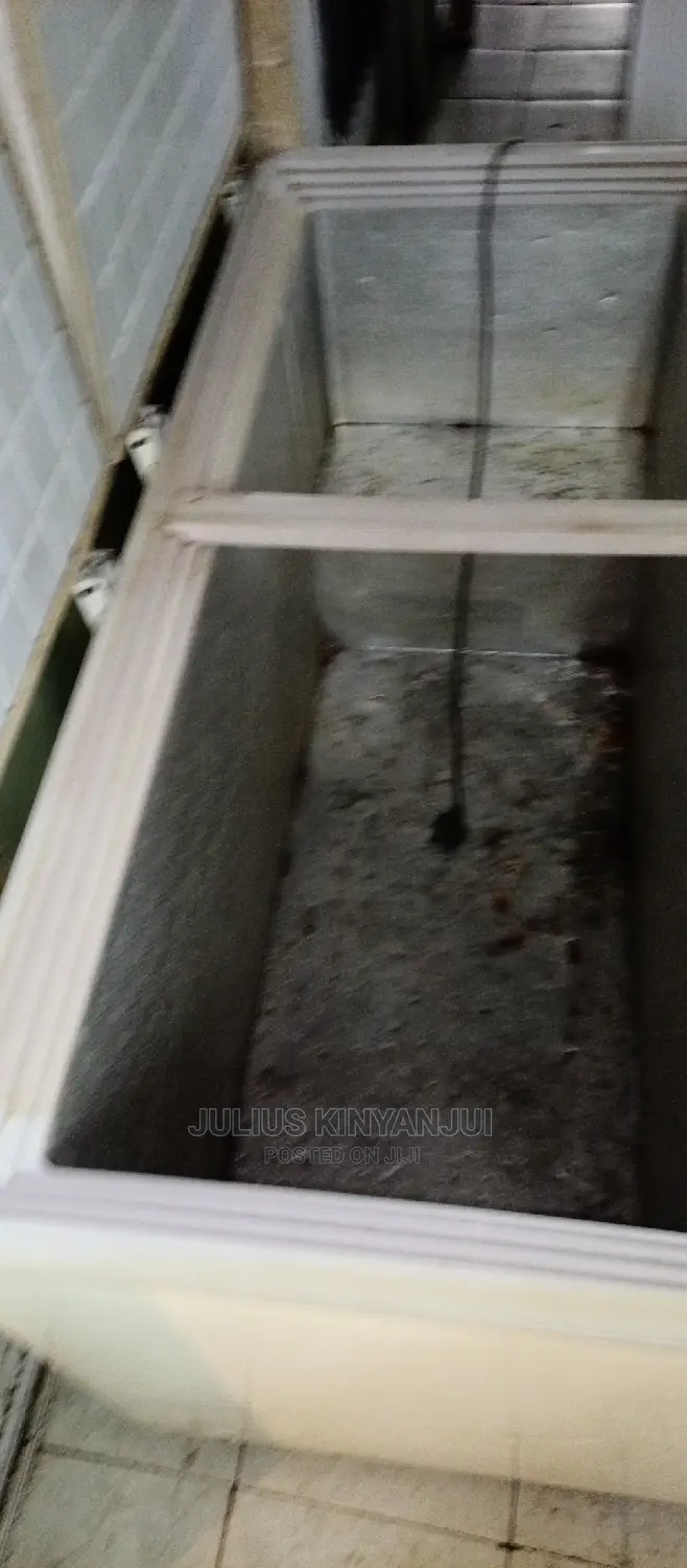 Double Door Freezer