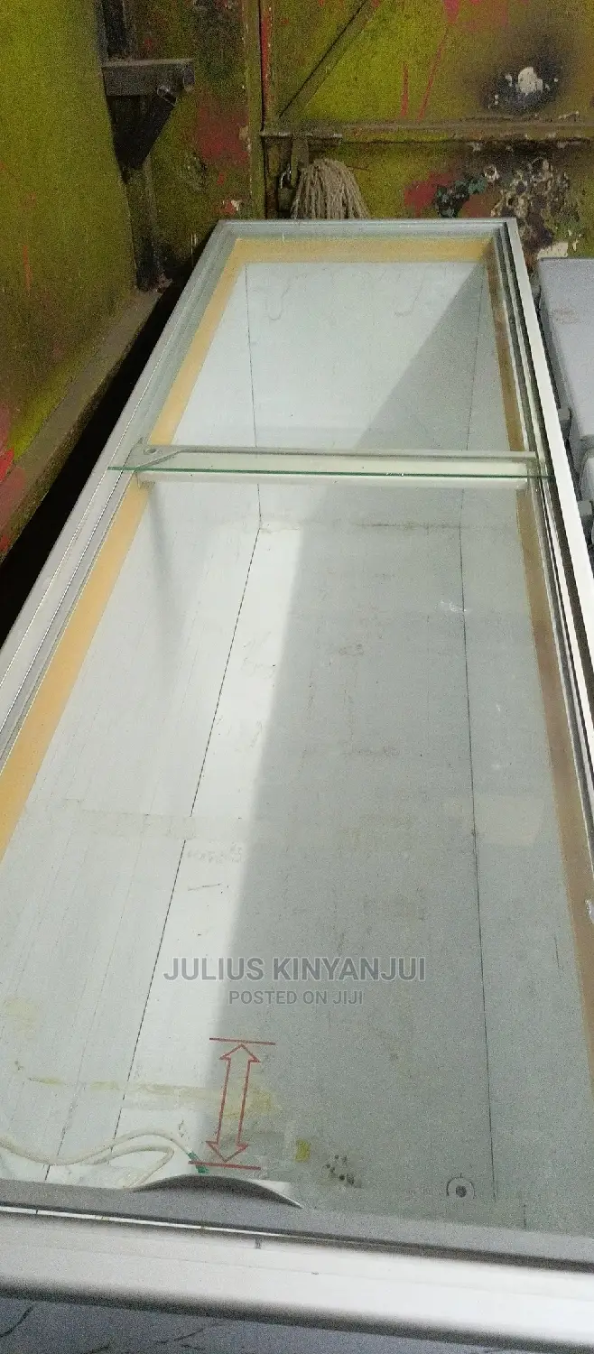 Double Door Freezer
