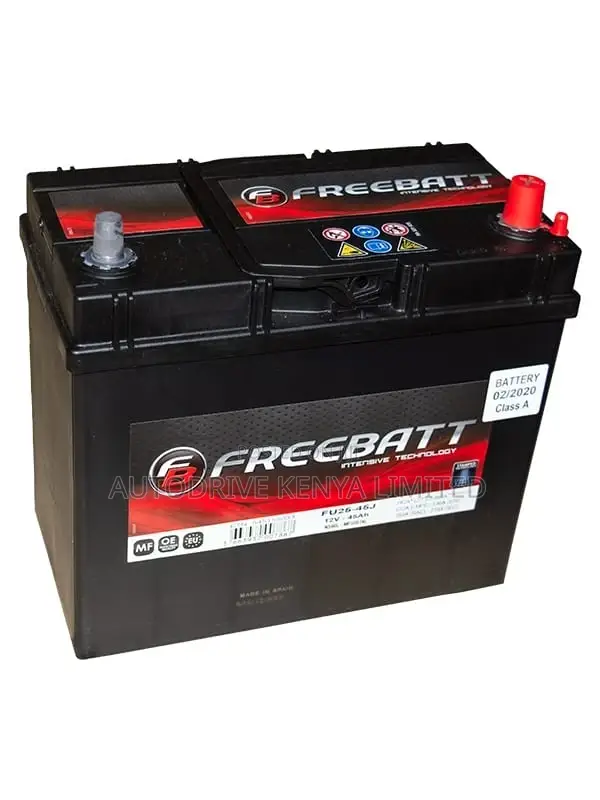 NS60L Freebatt
