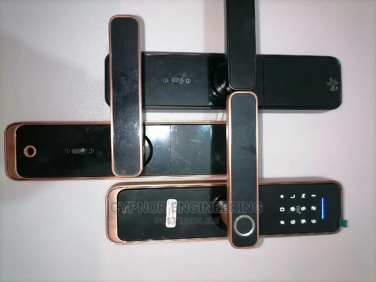 Biometric Smart Lock for Hotels