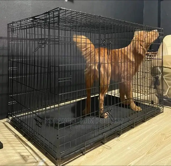 Extra Bigger Dog Cages