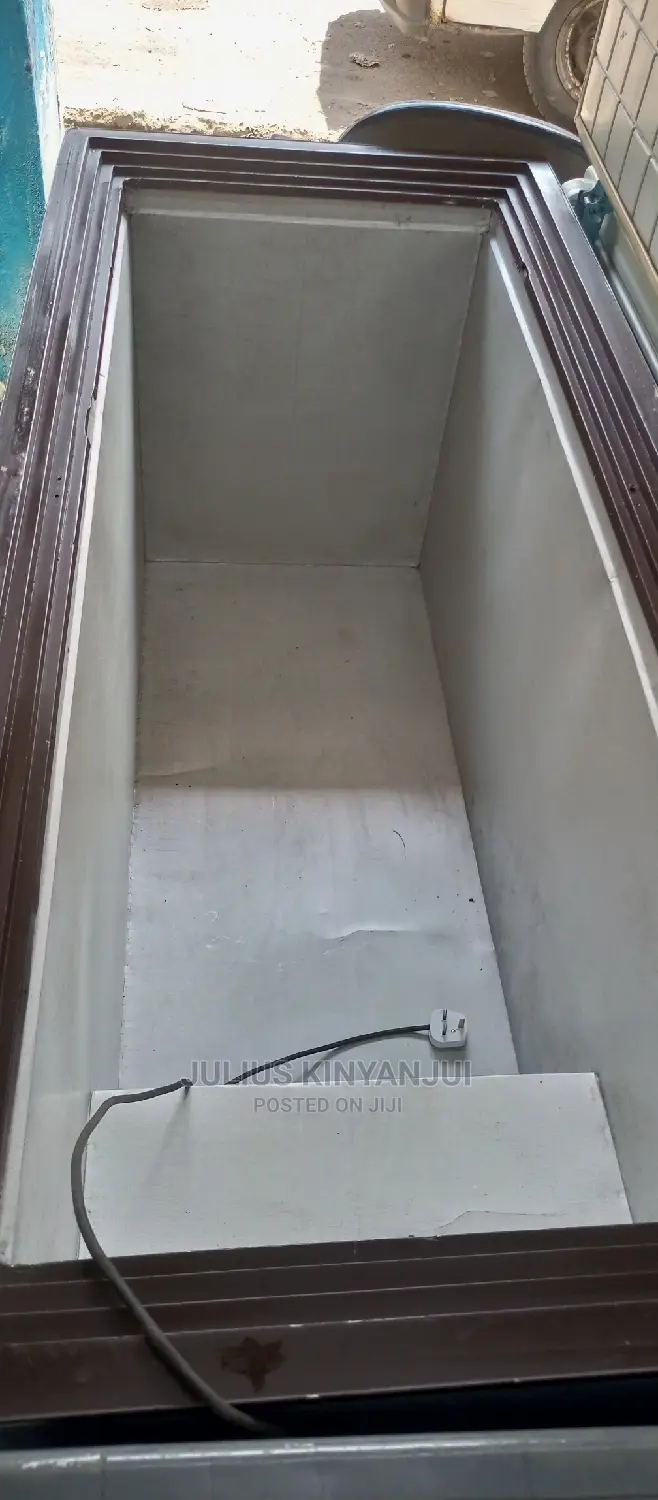 Double Door Freezer