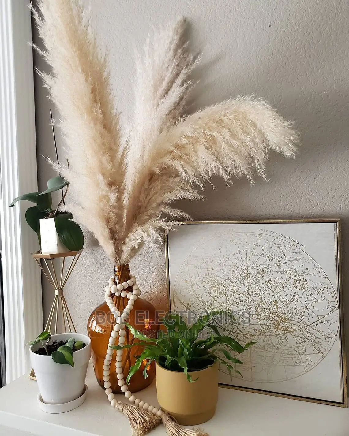 Large Fluffy Decorative Pampas Grass