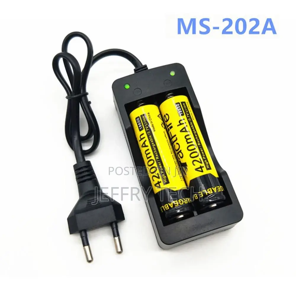 18650 Li-Ion Rechargeable Battery Charger US/EU Plug 2 Slots