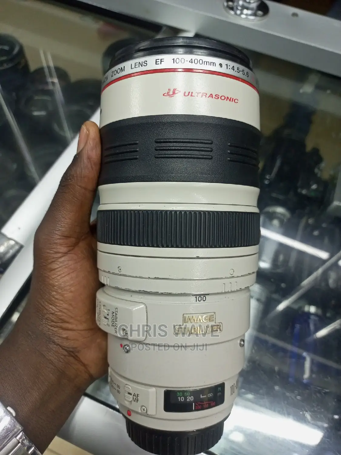 Canon 100-400mm Lens