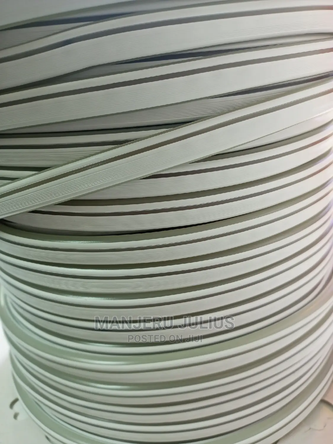 Warm White Neon Snake Light