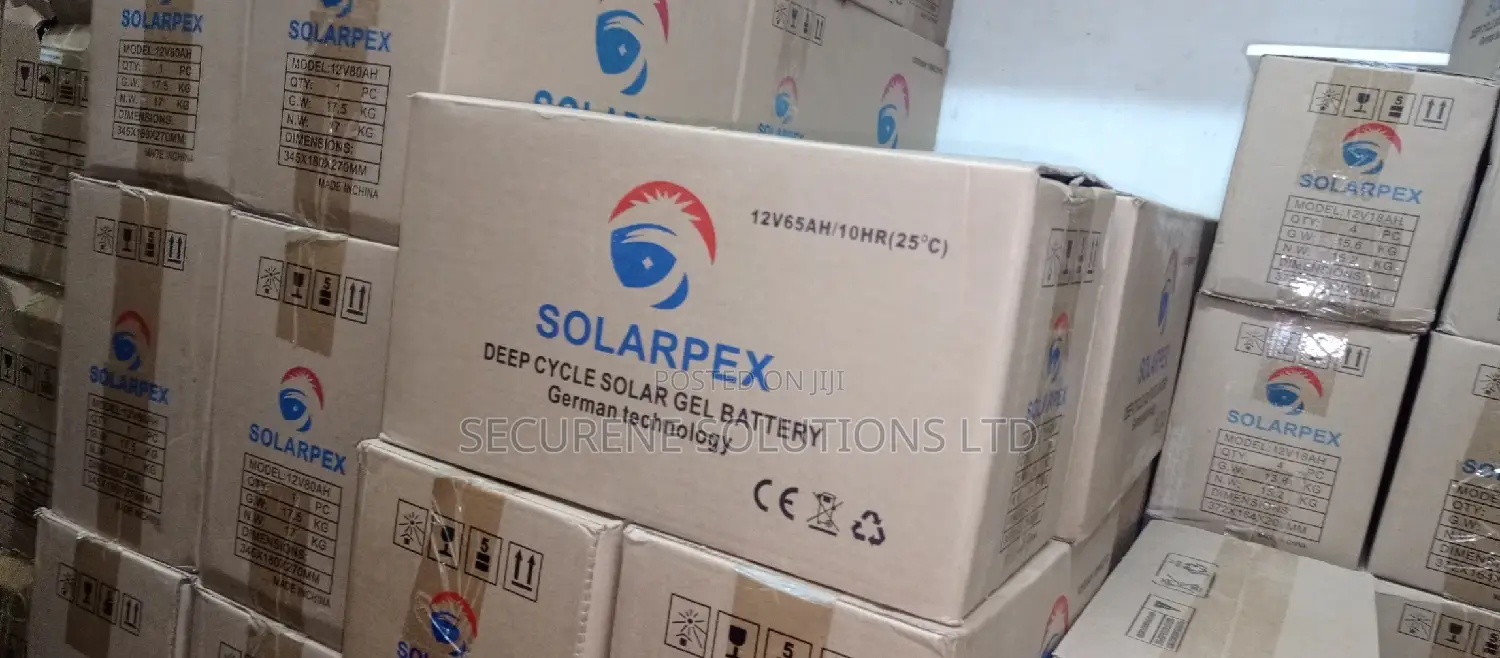 65ah Solarpex Backup Battery