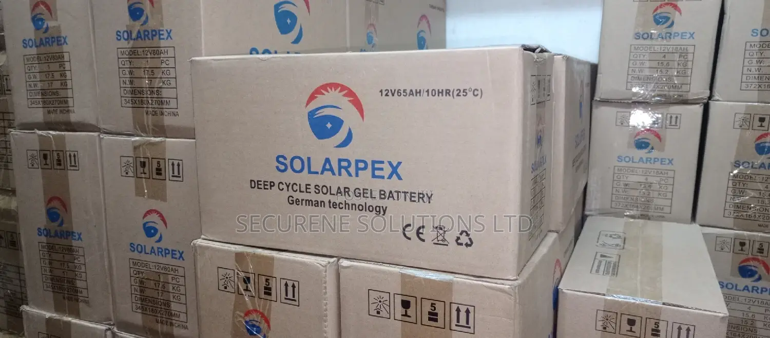 65ah Solarpex Backup Battery
