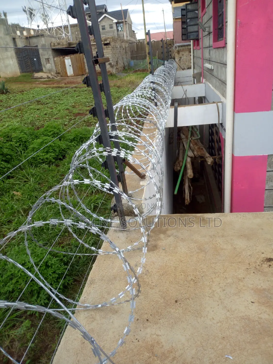 Double Galvanised 450mm Razor Wire Both Silver And Green