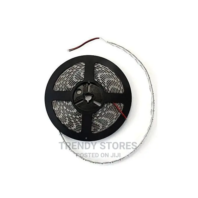 Festive Christmas 5meters Led Snake Lights for Decoration