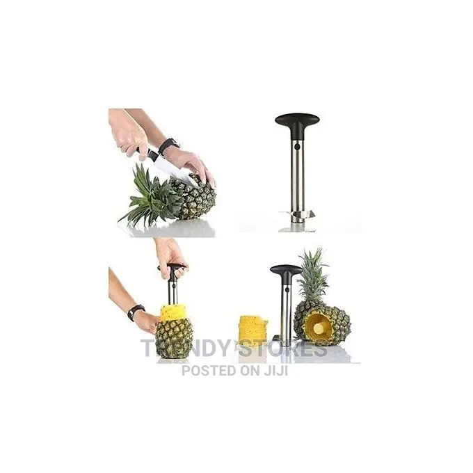 Pineapple Peeler Corer Slicer – Black Silver