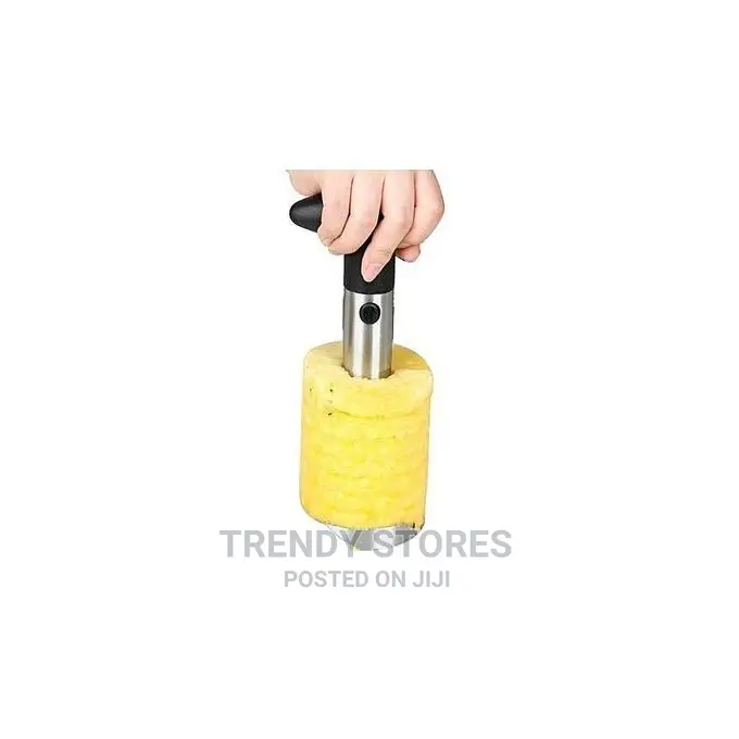 Pineapple Peeler Corer Slicer – Black Silver