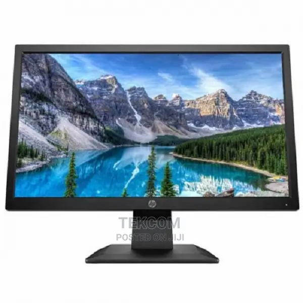 HP P204 19.5 Monitor