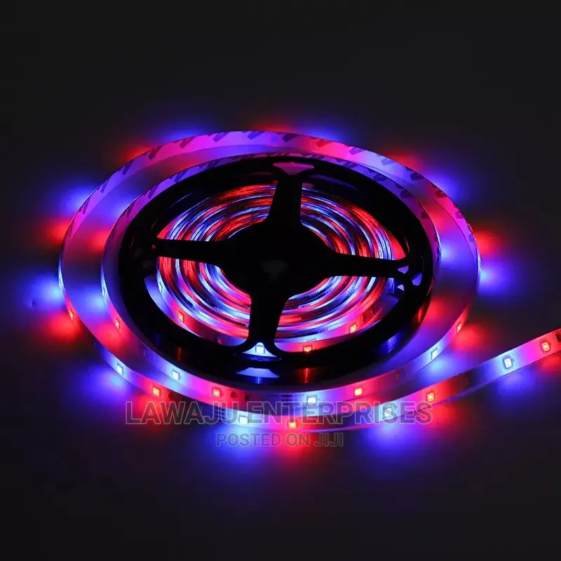 5m RGB LED Snake Light