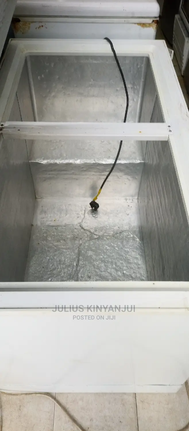 Double Door Freezer