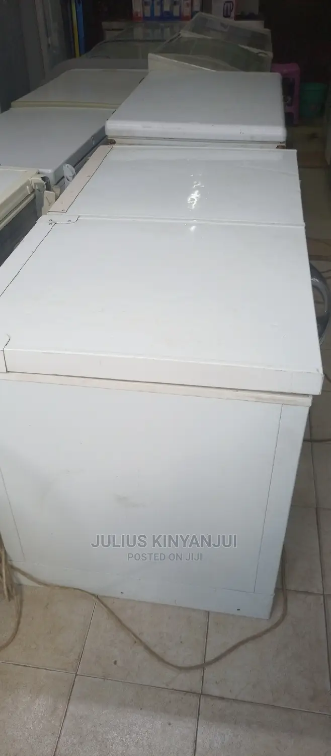 Double Door Freezer