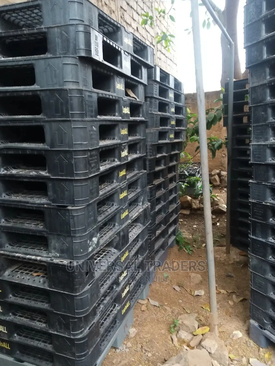 Plastic Pallets on Offer - 1000kgs Capacity