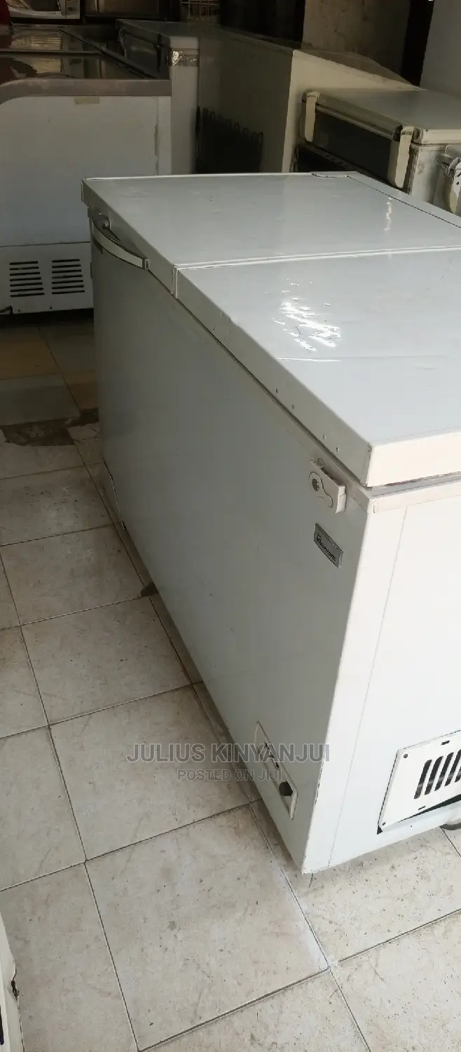 Double Door Freezer
