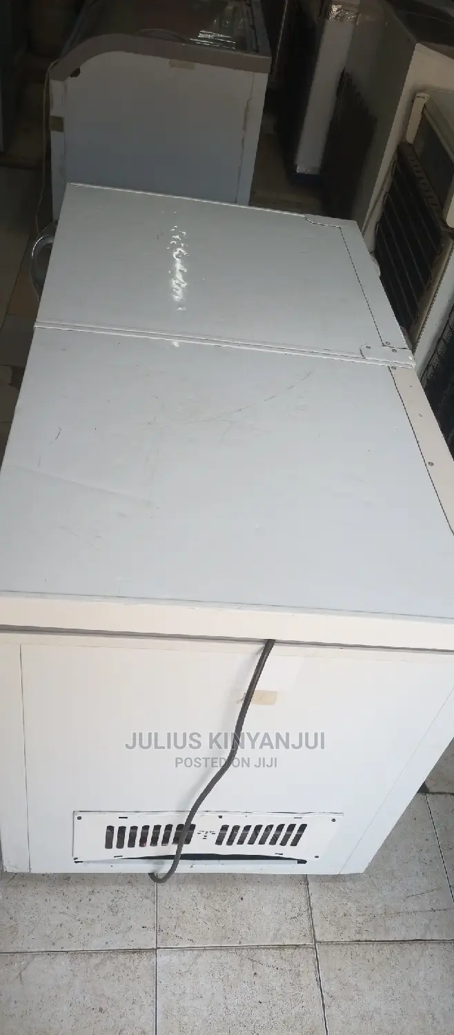 Double Door Freezer