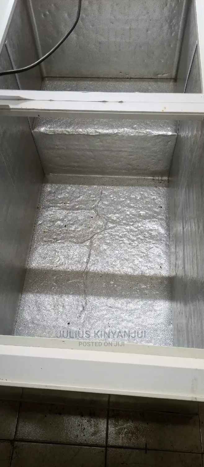 Double Door Freezer