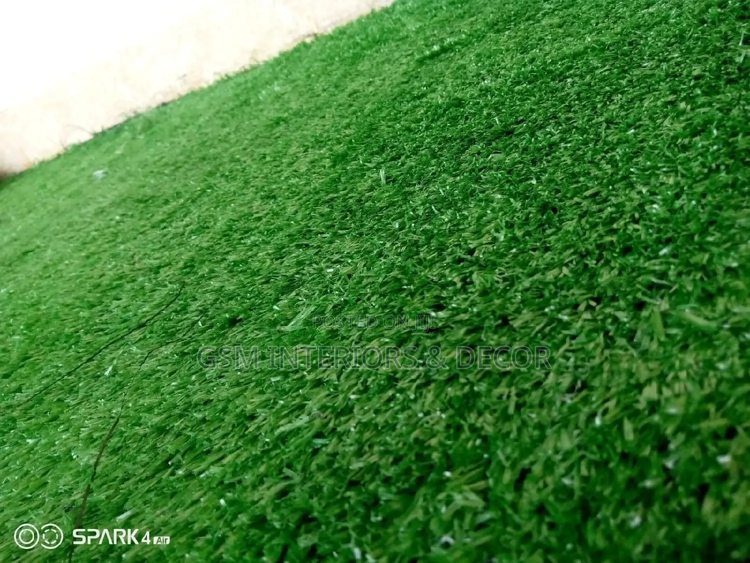 Grass Carpet Grass Carpet Grass Carpet Grass Carpet Grass