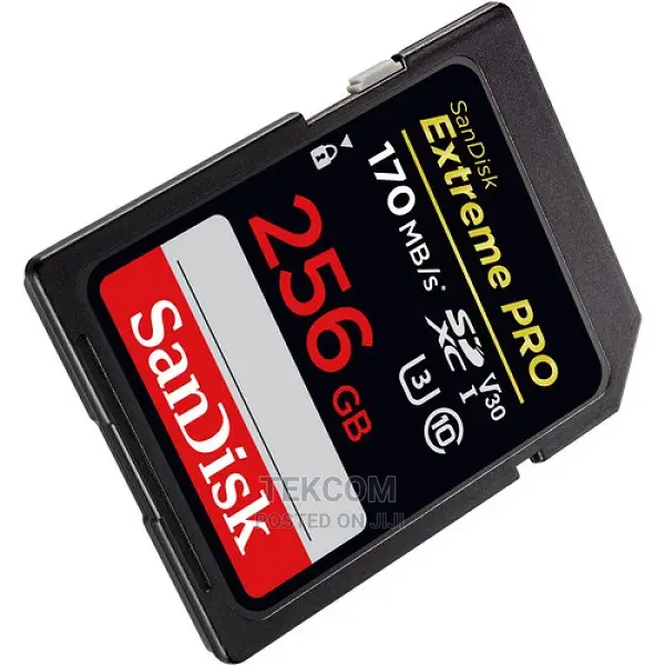 Sandisk Extreme Pro 256GB