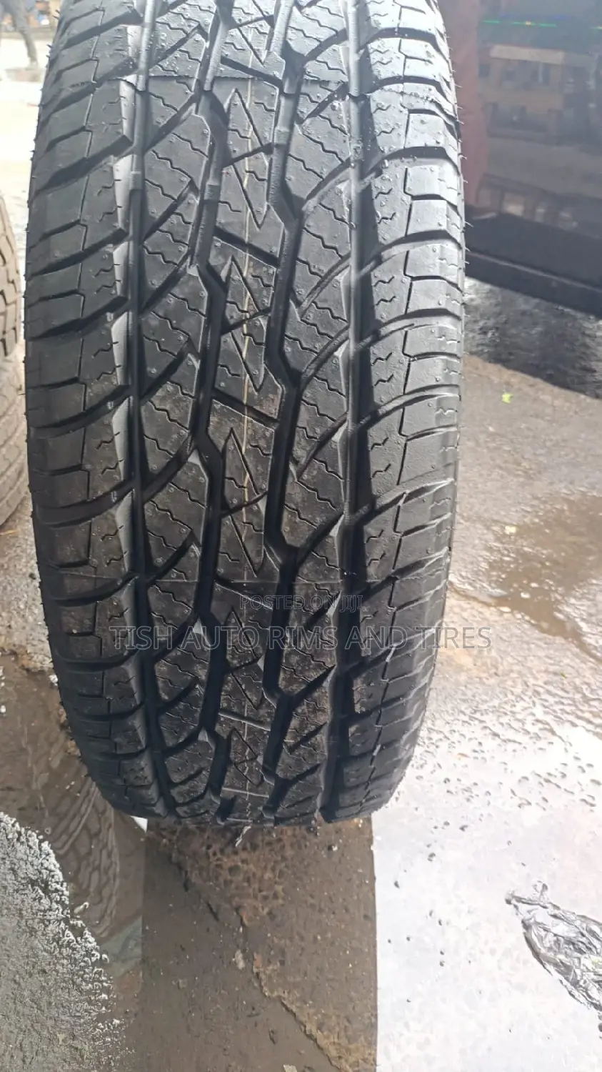 265/65r17 Maxxis