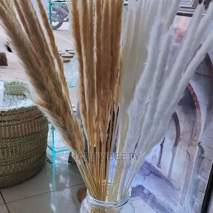 Mini Pampers Grass