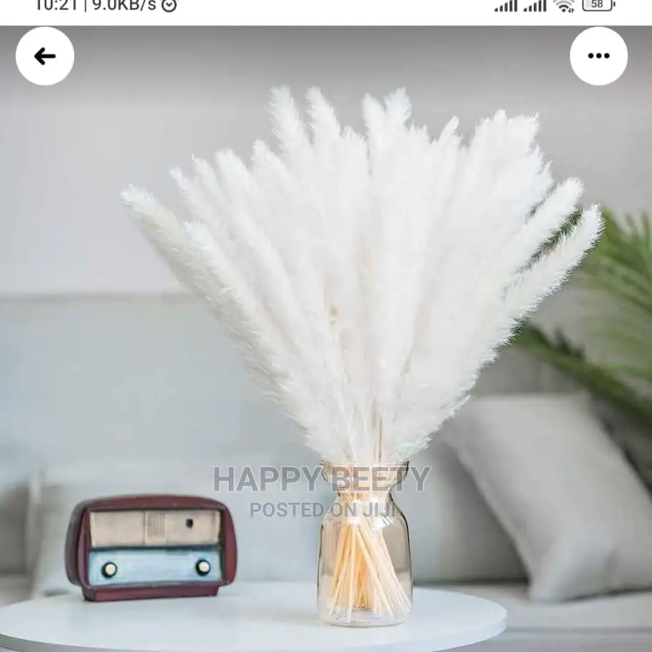 Mini Pampers Grass