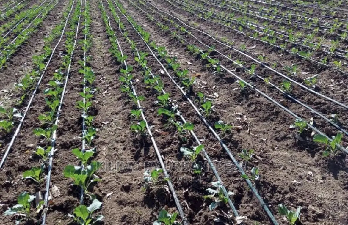 Drip Irrigation. 1/8 Acre. 2 Lines.