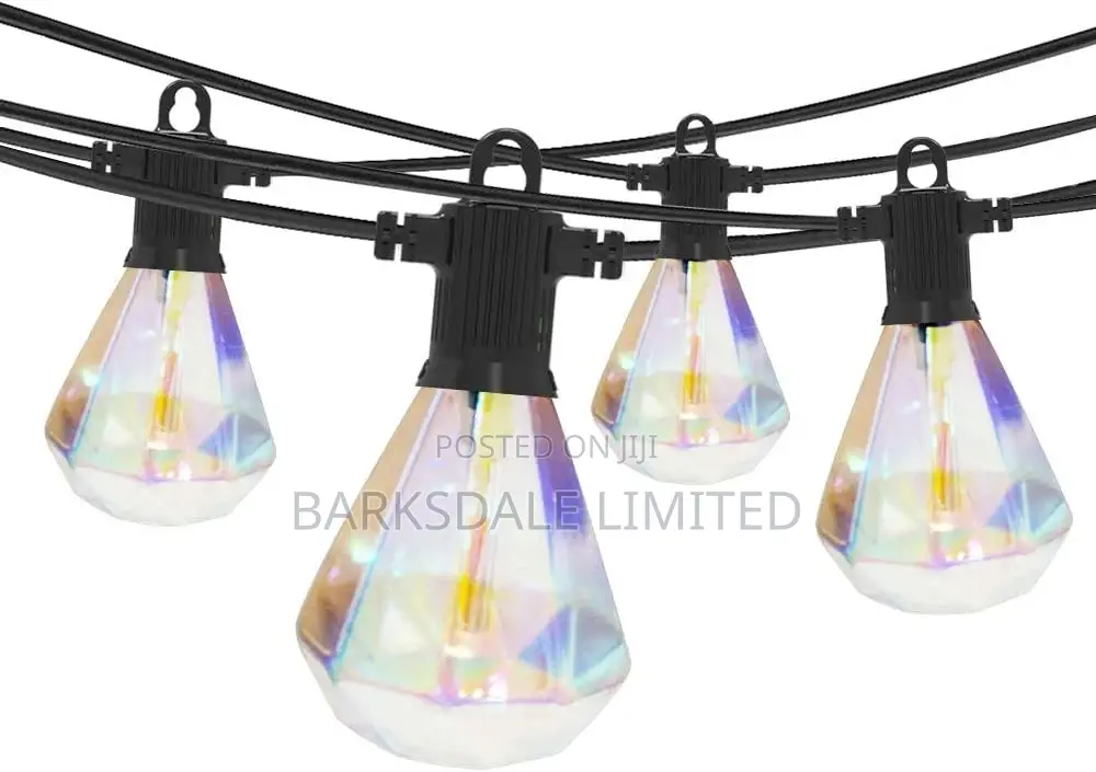Christmas Xmas LED Bulbs 48ft Outdoor Diamond Garden Lights