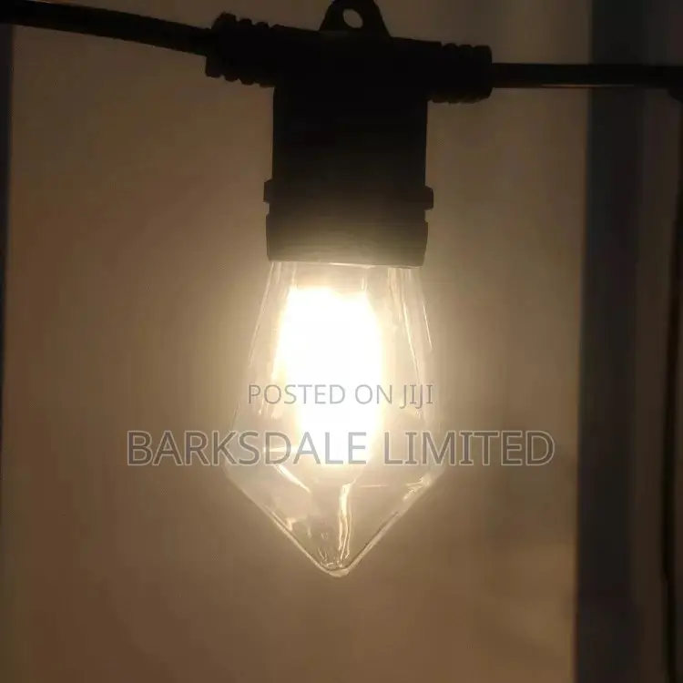 Christmas Xmas LED Bulbs 48ft Outdoor Diamond Garden Lights