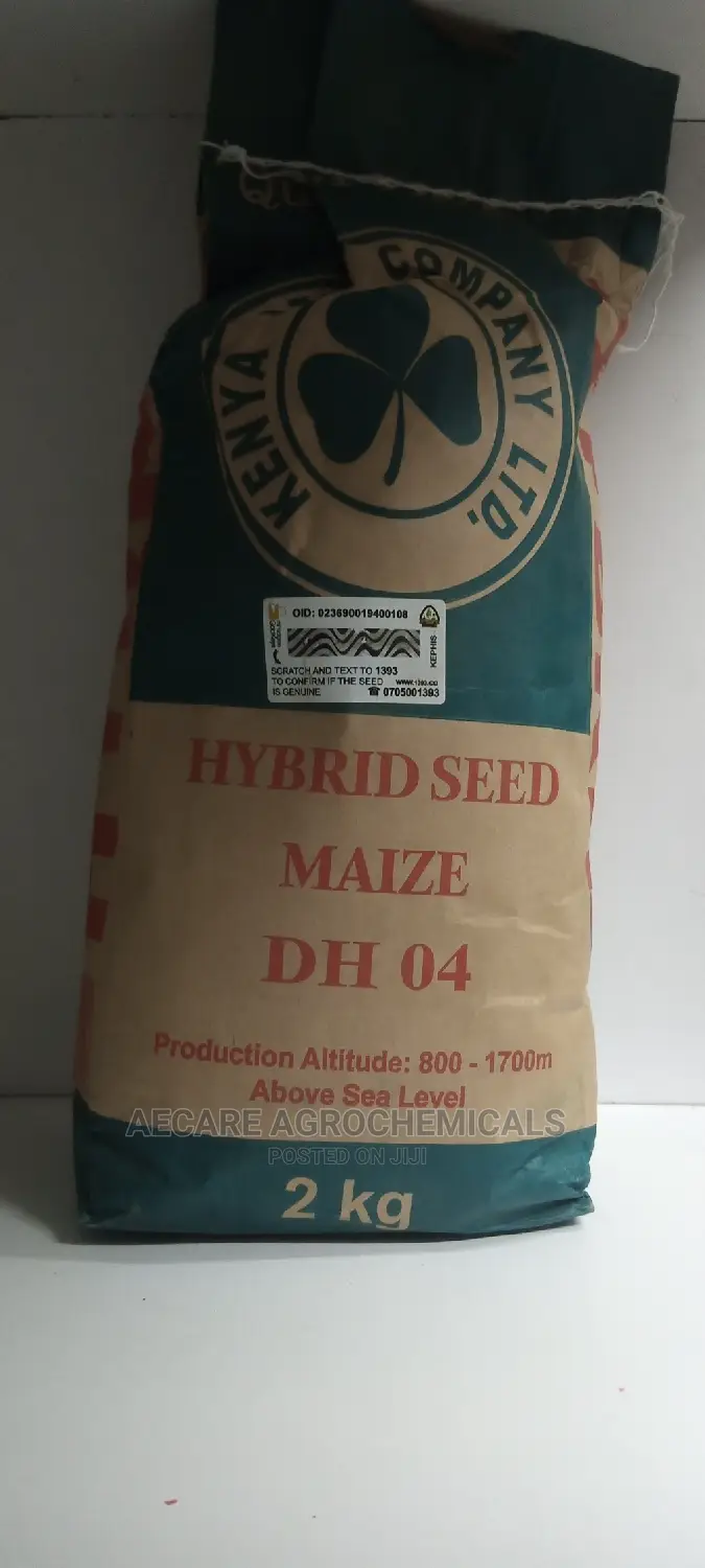 Hybrid Maize Seed Dh04 2kgs