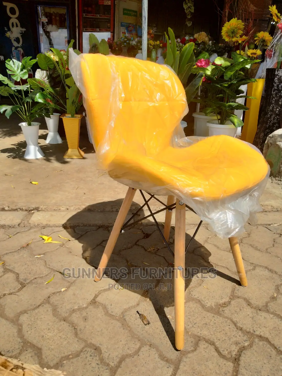 Dining Chairs.