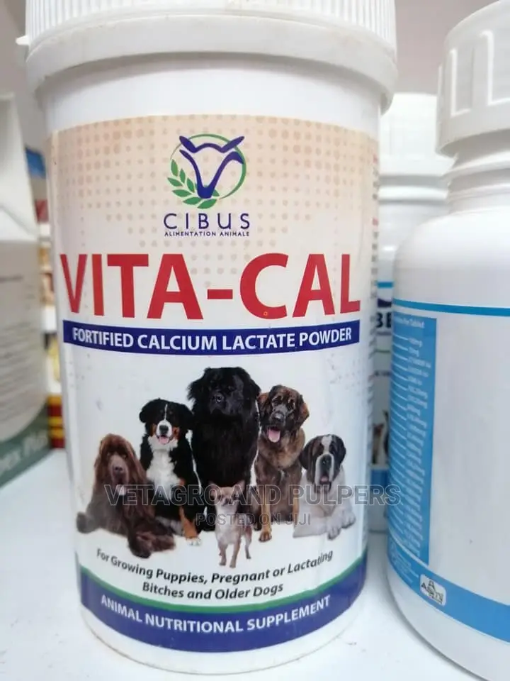 VITA-CAL Calcium Lactate Powder Supplement for Dogs