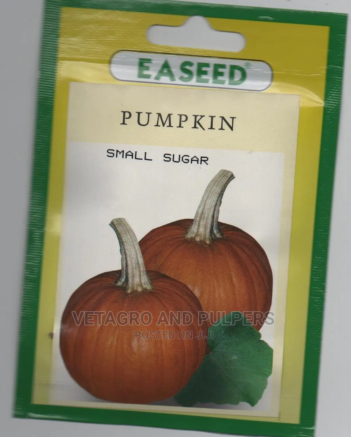 Easeed Pumpkin Small Sugar